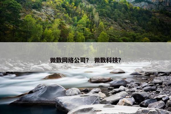 微数网络公司？ 微数科技？