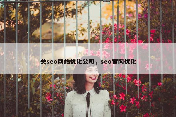 关seo网站优化公司，seo官网优化