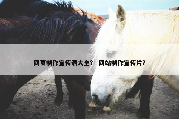 网页制作宣传语大全？ 网站制作宣传片？
