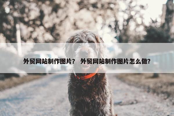 外贸网站制作图片？ 外贸网站制作图片怎么做？