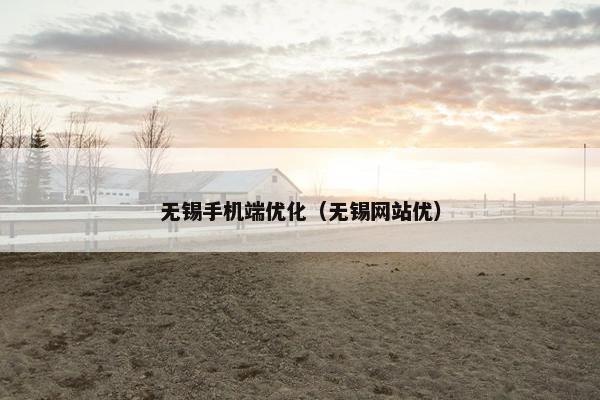 无锡手机端优化（无锡网站优）