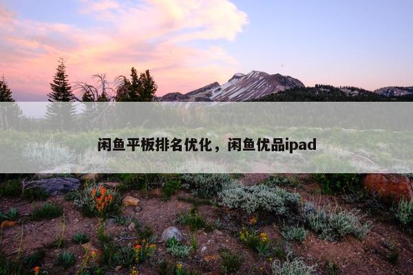 闲鱼平板排名优化，闲鱼优品ipad