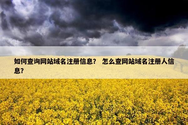 如何查询网站域名注册信息？ 怎么查网站域名注册人信息？