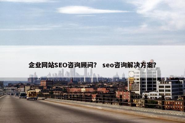 企业网站SEO咨询顾问？ seo咨询解决方案？