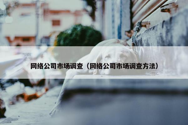 网络公司市场调查（网络公司市场调查方法）