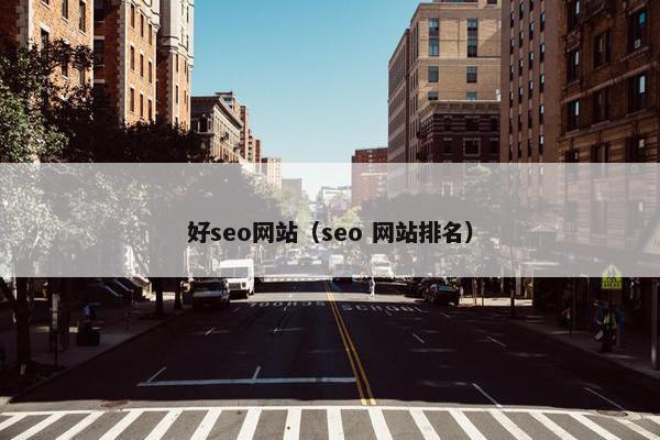 好seo网站（seo 网站排名）