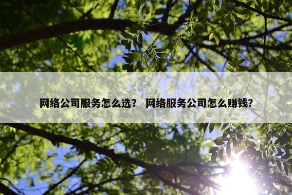 网络公司服务怎么选？ 网络服务公司怎么赚钱？