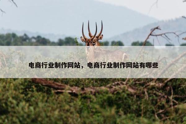 电商行业制作网站，电商行业制作网站有哪些
