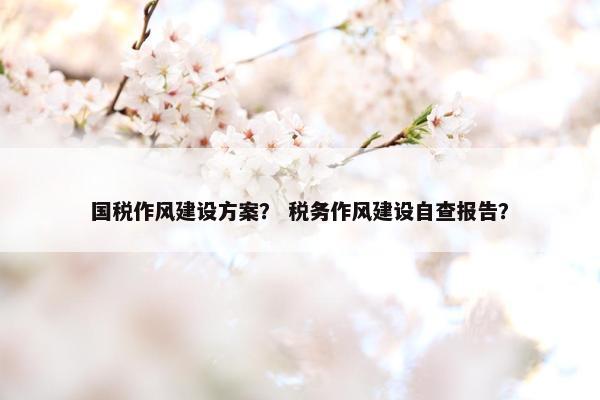 国税作风建设方案？ 税务作风建设自查报告？