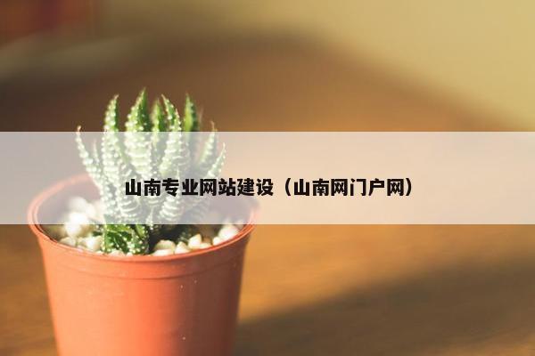 山南专业网站建设（山南网门户网）