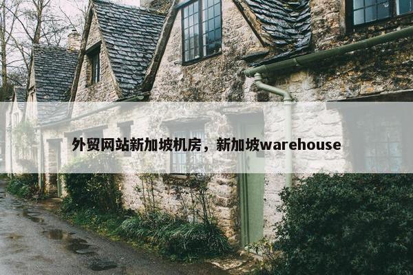 外贸网站新加坡机房，新加坡warehouse