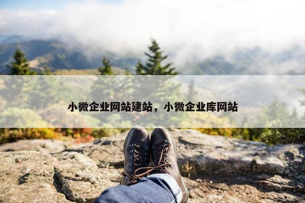 小微企业网站建站，小微企业库网站