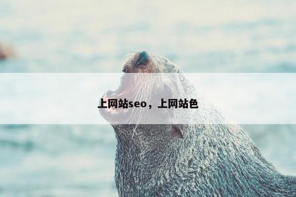 上网站seo，上网站色