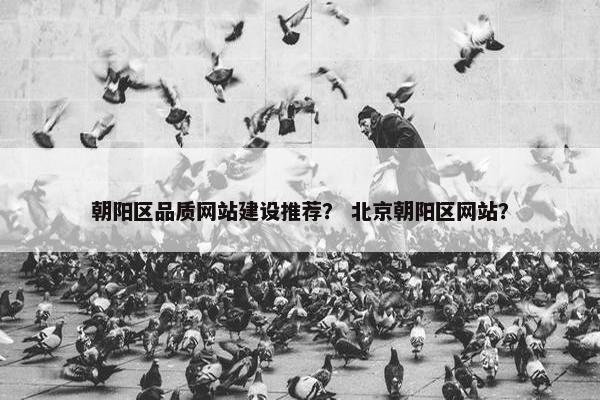 朝阳区品质网站建设推荐？ 北京朝阳区网站？