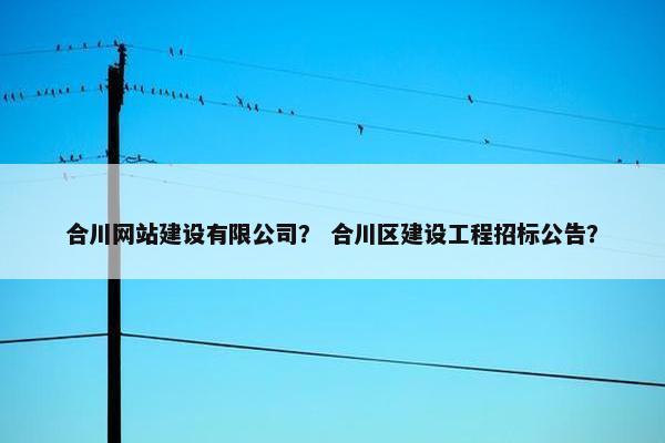 合川网站建设有限公司？ 合川区建设工程招标公告？