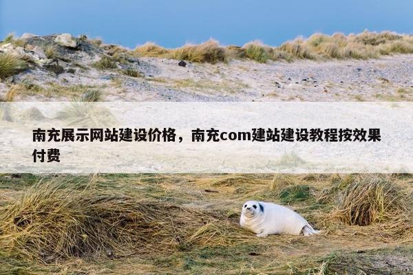 南充展示网站建设价格，南充com建站建设教程按效果付费